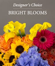 Bright Blooms Designer's Choice