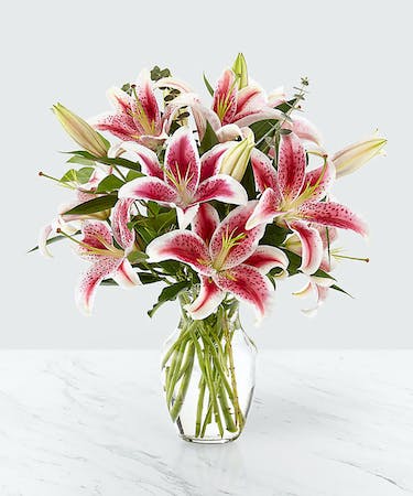 Enchanting Stargazer Lilies